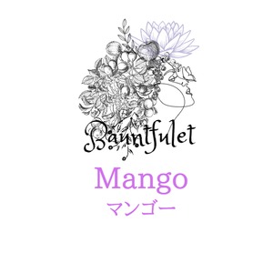 マンゴー（Mango) 100g