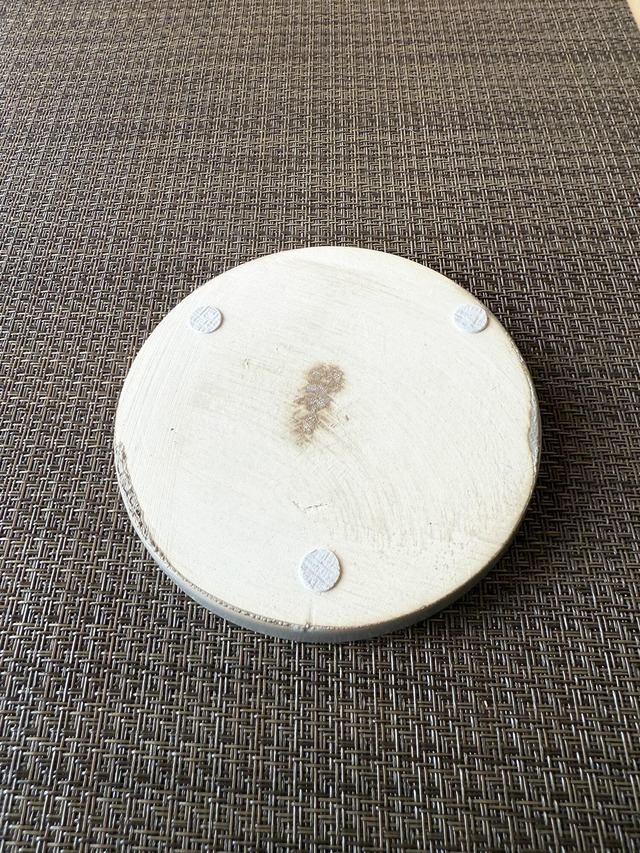 ガジュマル　白