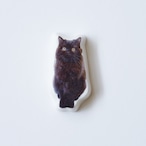 masacova! × unicom HASHIOKI  BLACK CAT