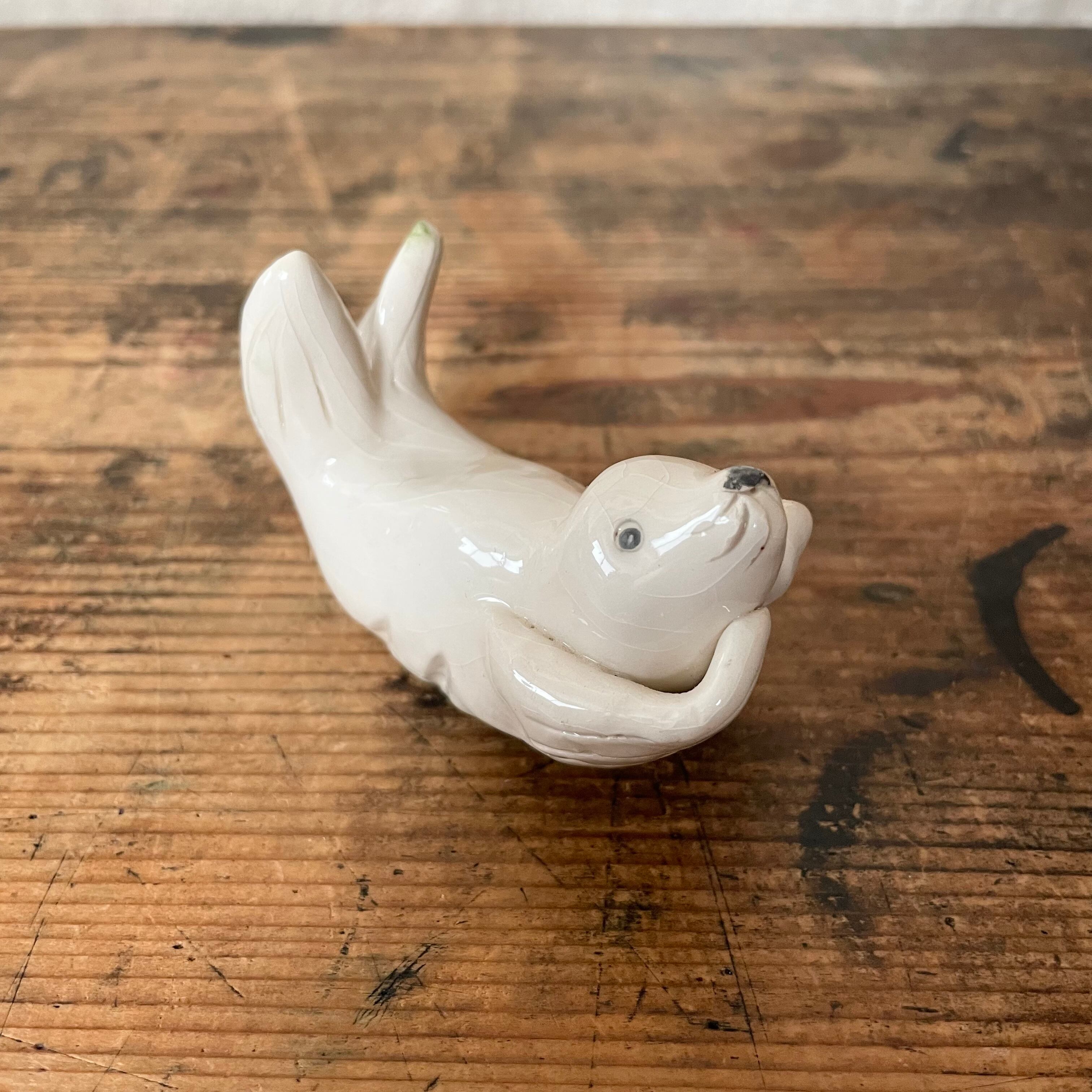 上を向くアザラシ