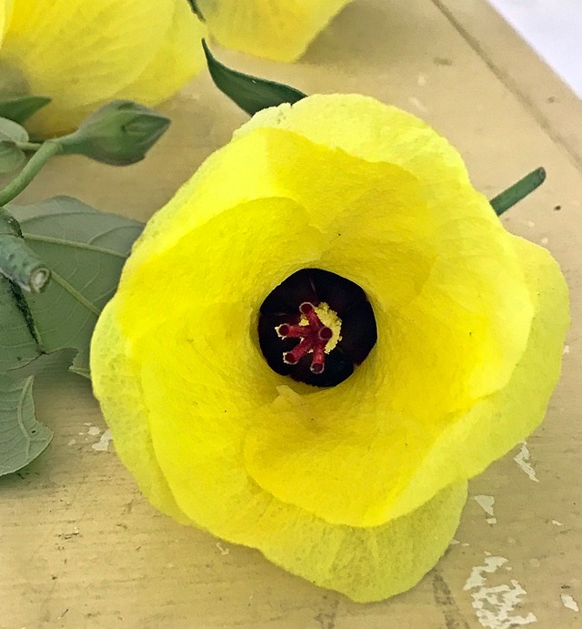 つづるガラスアート　ゆうなの花　HAKU平丸大皿2