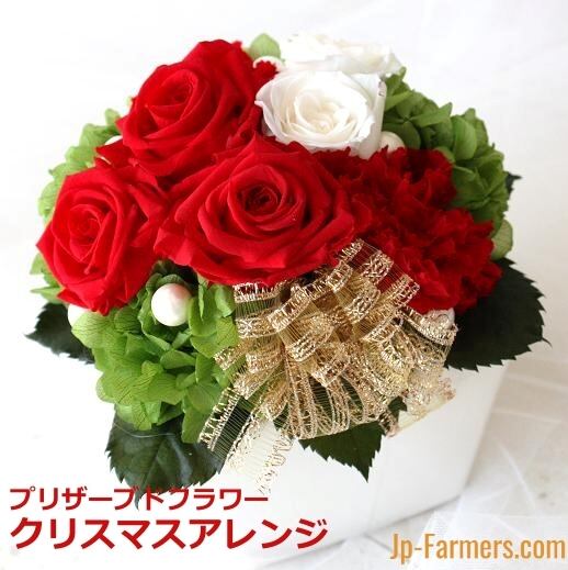 クリスマス企画 プリザーブドフラワー 情熱のレッドローズアレンジ Jp Farmers Com
