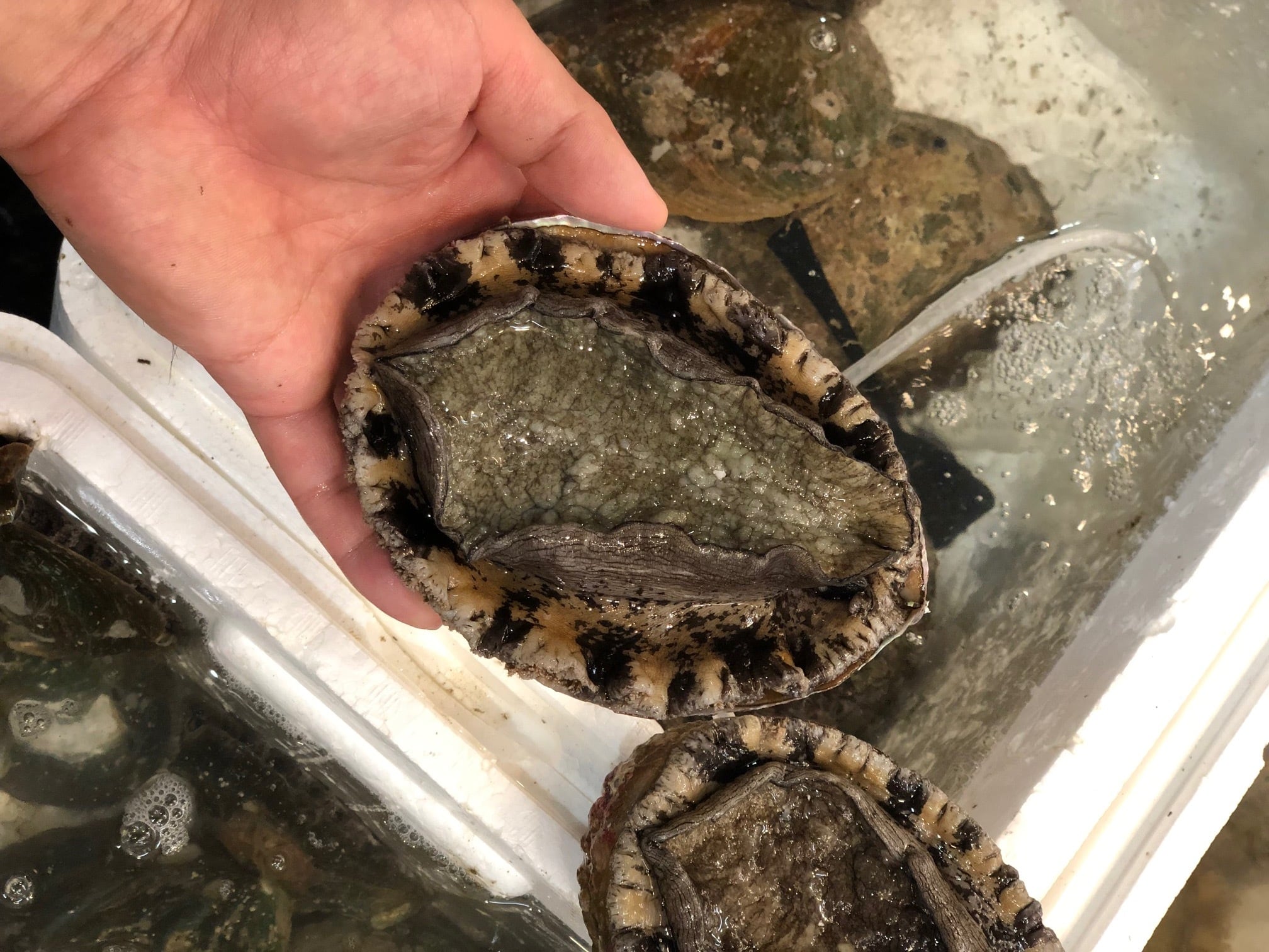 1b708fc91bcfe120df6ab81374a7f6