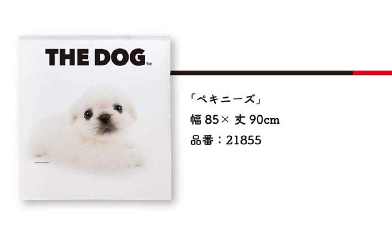 【受注生産】のれん THE DOG ペキニーズ 幅85×丈90cm　21855