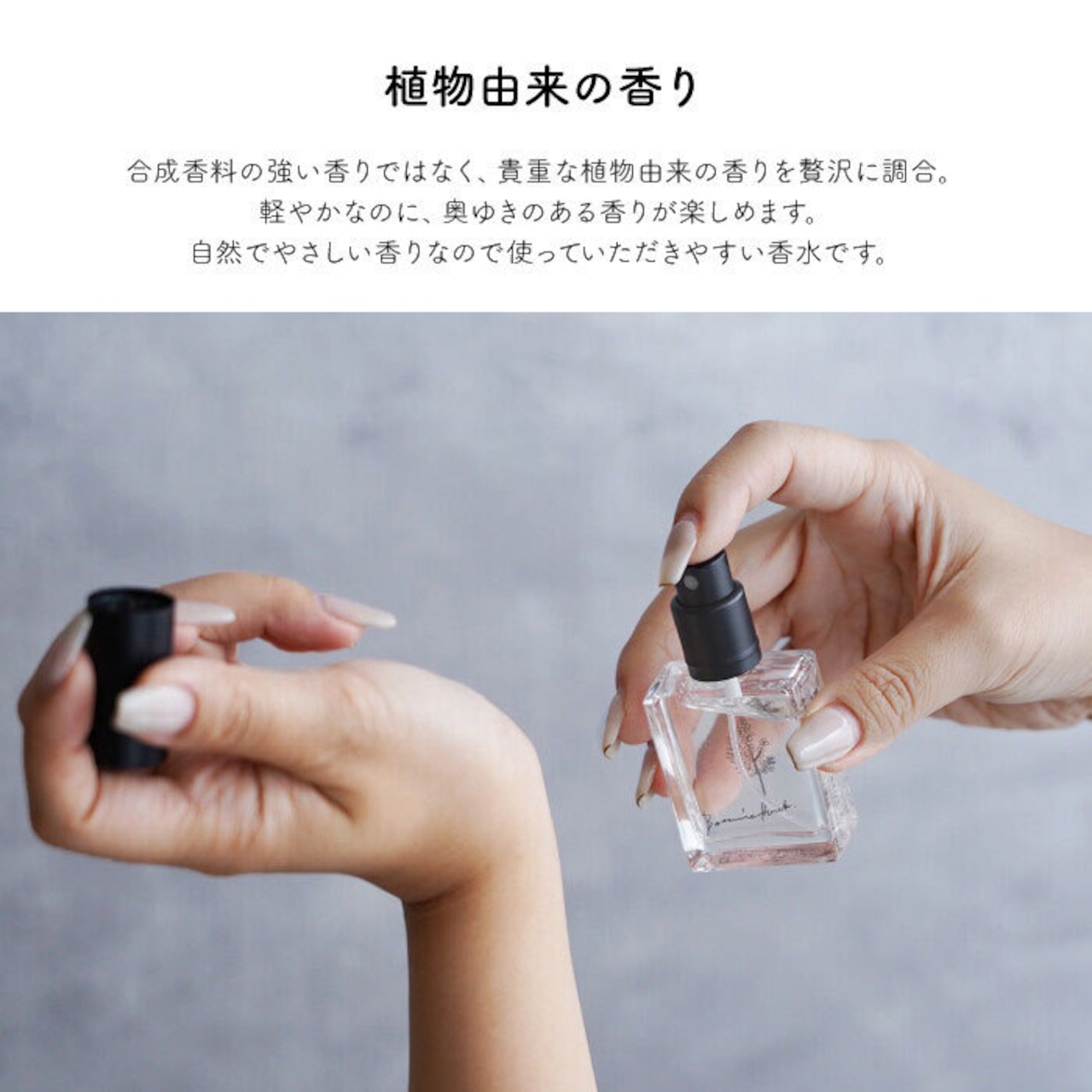 香水 ミモザ の香り フレグランスエビエール Botanicfolk 15ml コンパクト 携帯 いい香り アロマ かわいい プレゼント