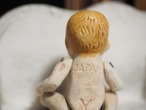 鼻の高いベビービスク ジャパンビスク 画像5