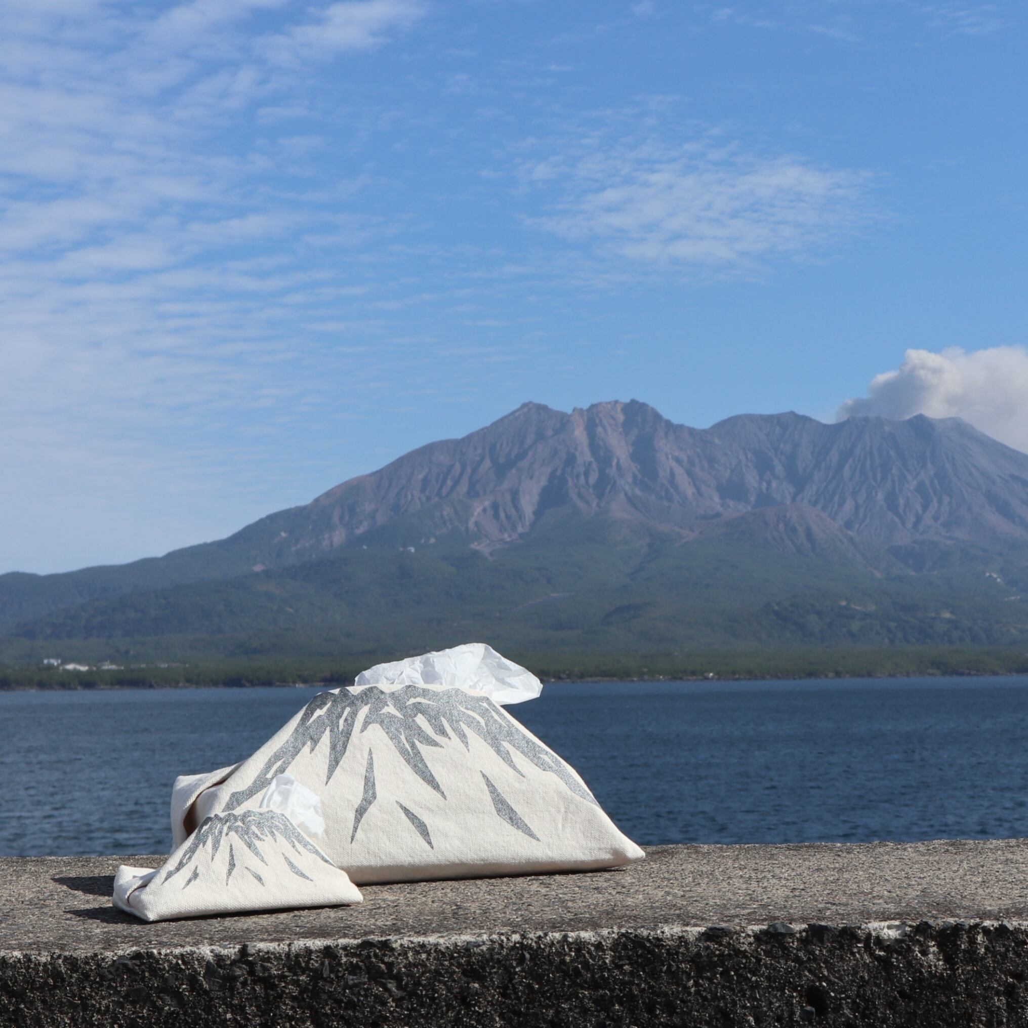 MOKMOKティッシュケース M > ブルー | Apparel Creation M4210