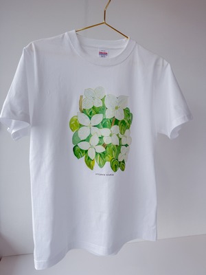 水彩画を着るTシャツ　「ヤマボウシ」