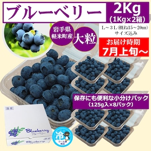 〈2箱1口〉【数量/期間限定】実のり畑中果樹園もぎたて完熟生ブルーベリー約2kg(125g×8パック×2箱、L~3Lサイズ込み)