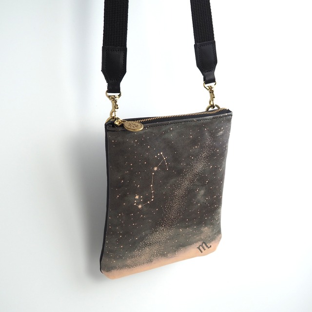 Zipper mini pochette (starry sky of 12 constellations *12 designs) cowhide