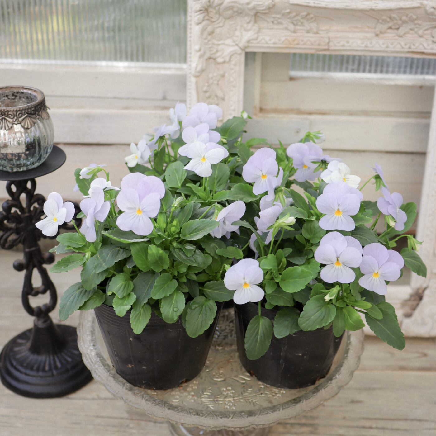 Green heartꕥオンラインショップ