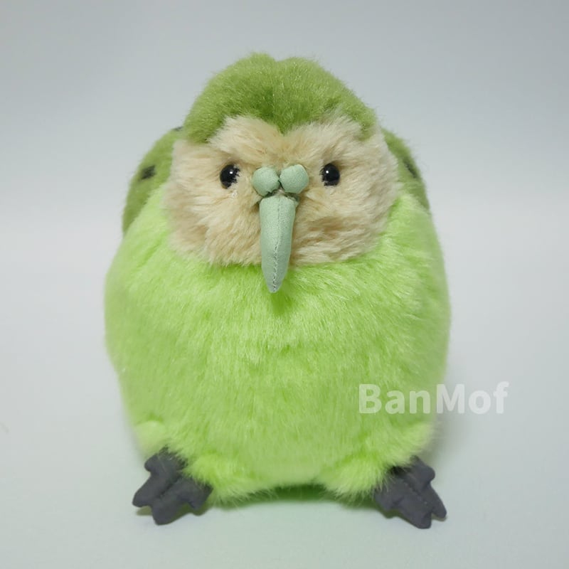 ニュージーランド　カカポ　ぬいぐるみ　鳥 展示】カカポ ぬいぐるみ | BanMof SHOP