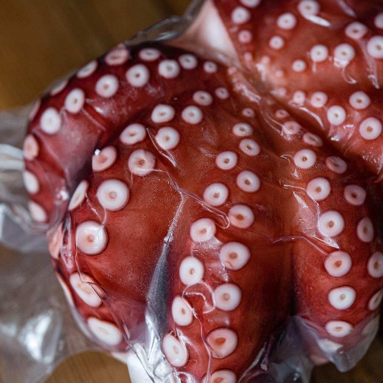 明石だこ（1杯・800g） | kanekusu