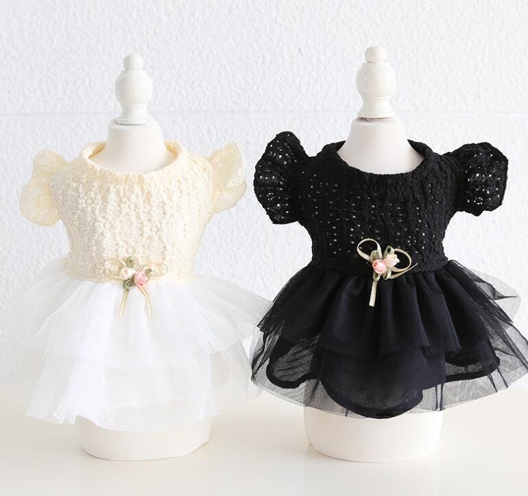 【予約】№3101999 シースルーチュールワンピース