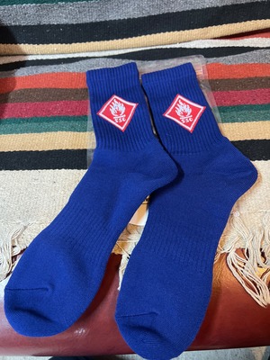 SURFSKATECAMP danger socks blue