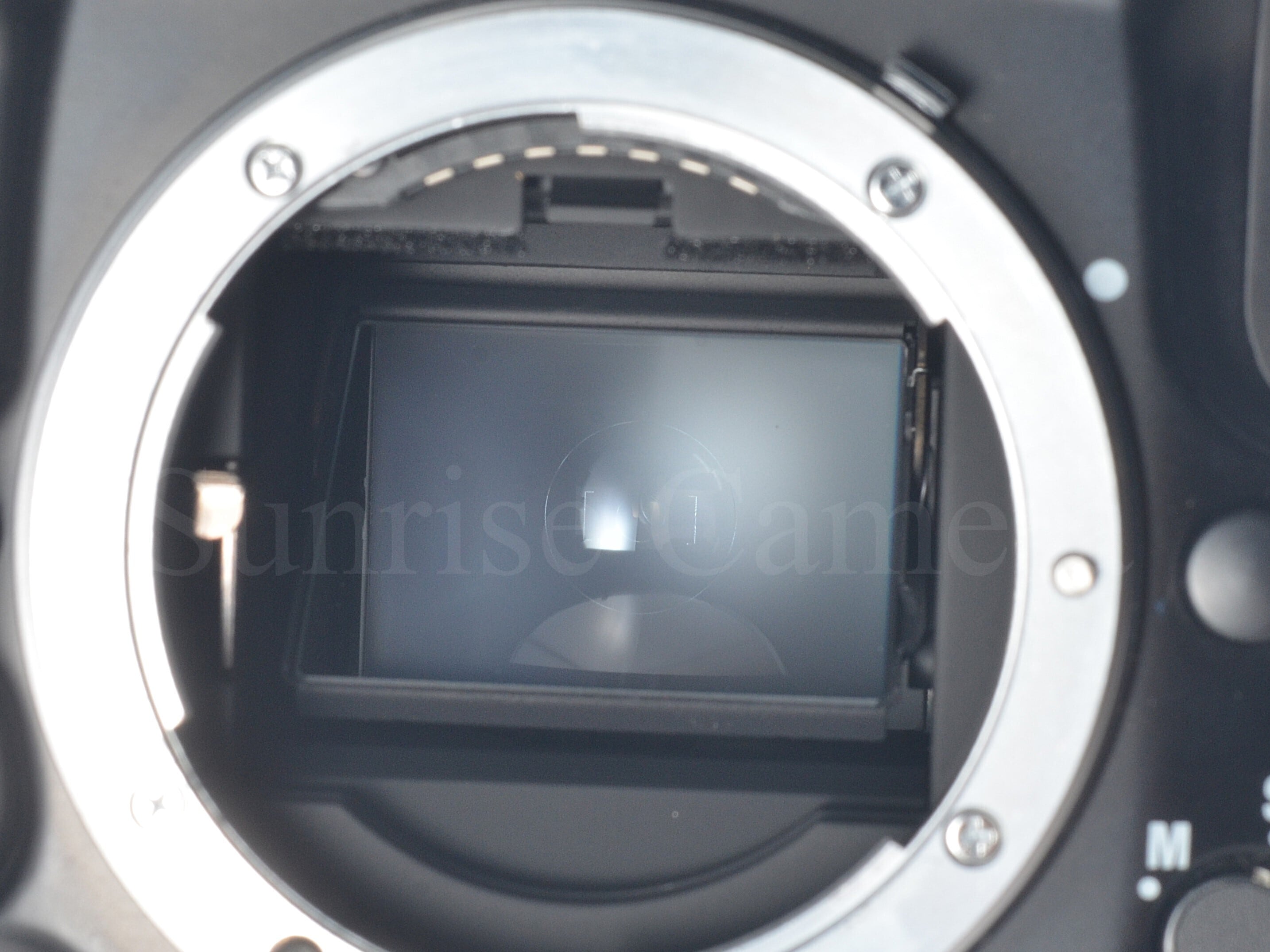 Nikon F90X ボディ MF-26 MB-10付 SB-23セット ニコン (55507