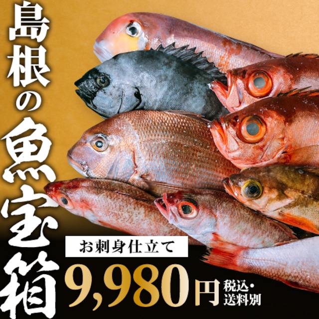 ★島根県松江産★田中の目利き！神鮮魚宝箱9,980円セット（お刺身仕立て/現魚3～5㎏分　正味1～2㎏分+シジミ）