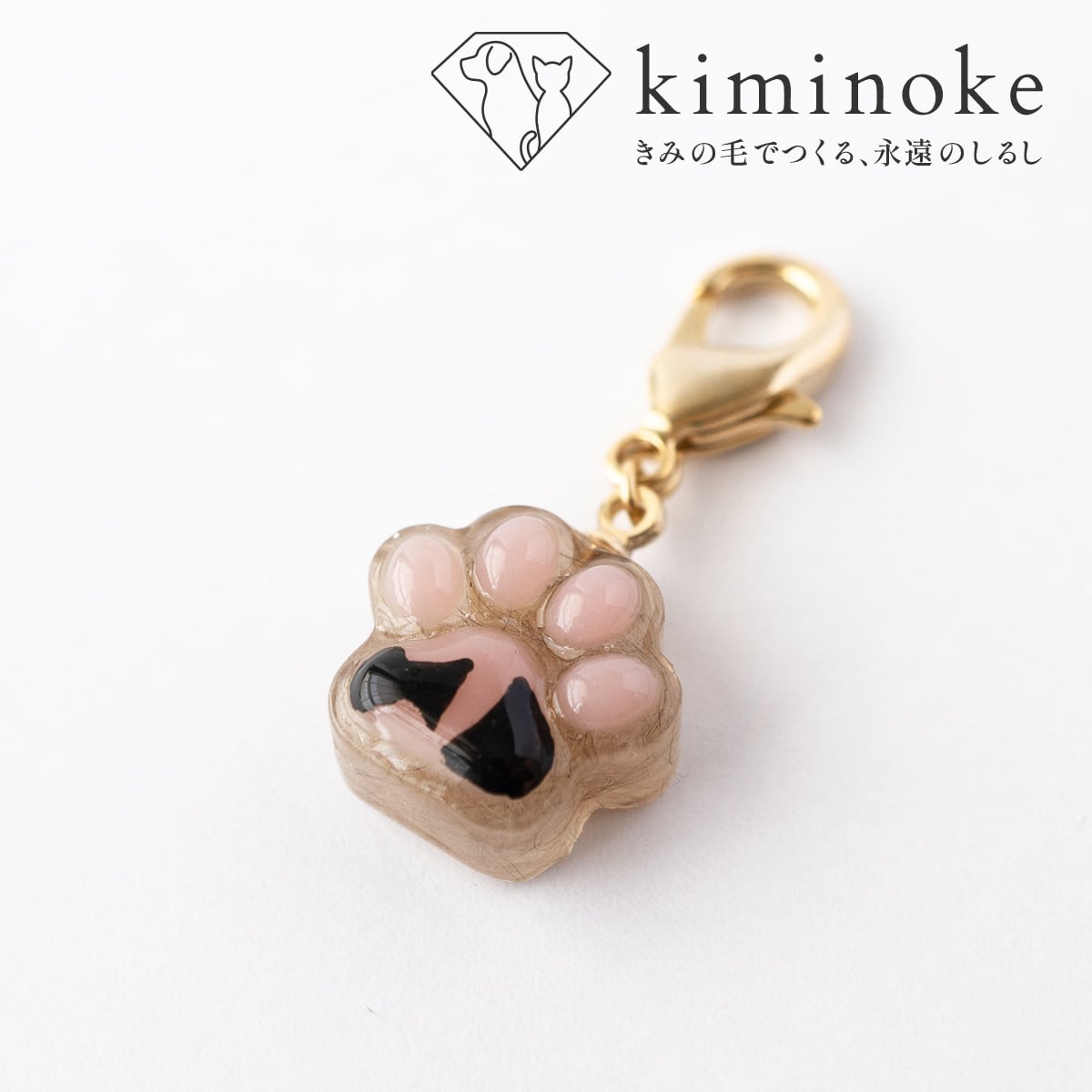 きみの肉球 | kiminoke［キミノケ］｜犬・猫などペットの毛でつくる
