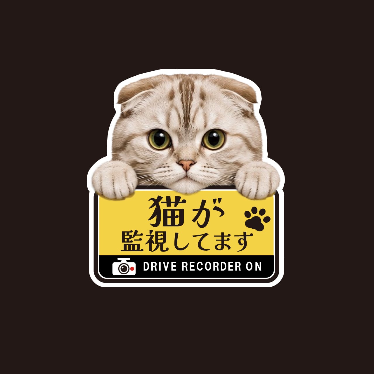 スコティッシュフォールド・スコ・猫・ドライブレコーダー・ドラレコステッカー・撮影中・車・ステッカー・インクジェット印刷・屋外用・猫好き・ドライブグッズ・監視しています・おもしろい・かわいい・肉球
