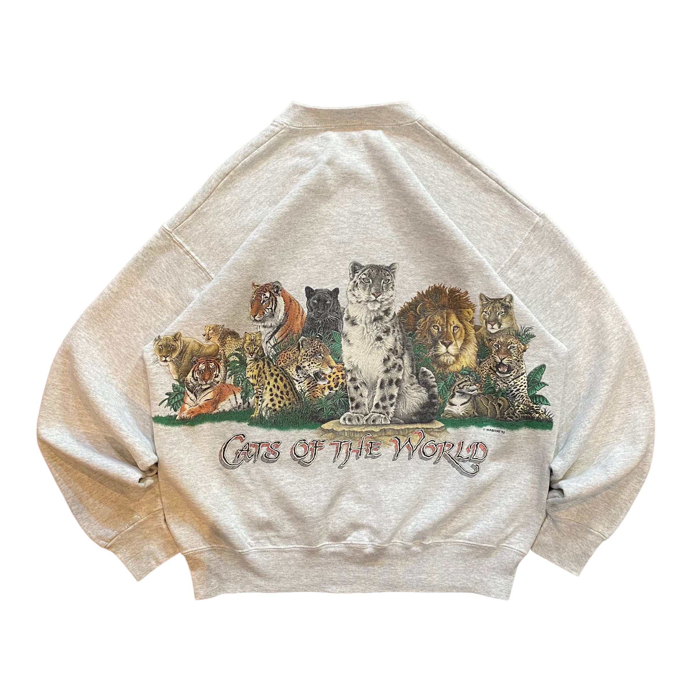 FRUIT OF THE ROOM 90's usa製 スウェット XL 両面プリント No.562