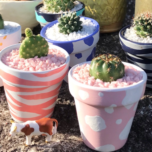 プチポット サボテン アニマル Flat アートとインテリア雑貨のお店