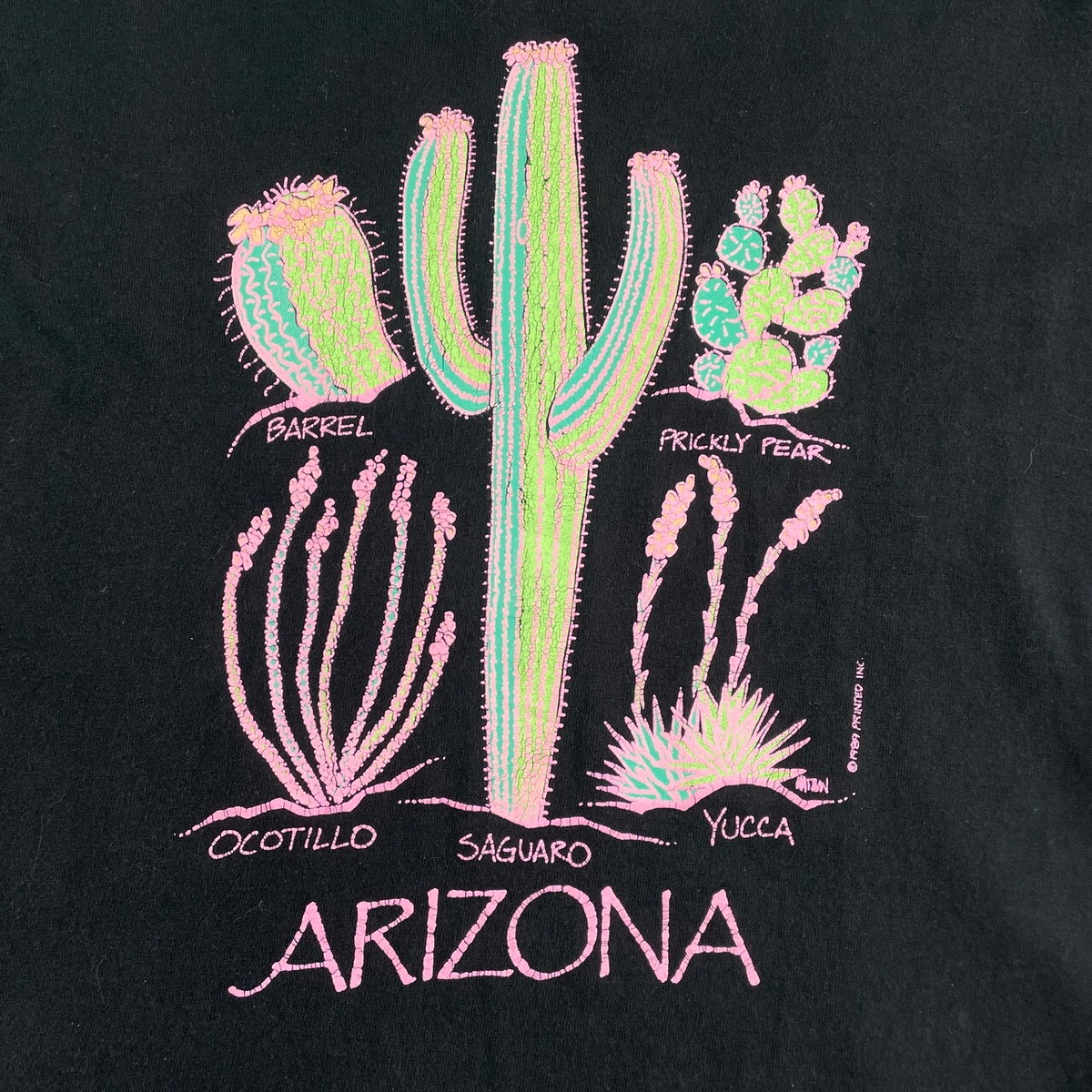 80年代 ARIZONA サボテン アート 発泡プリント Tシャツ メンズXL 古着 