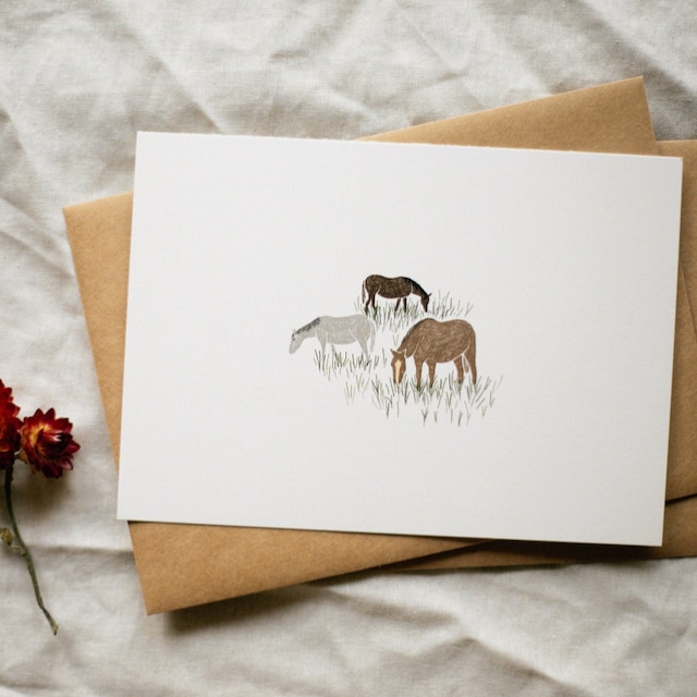 【ポストカード】Horses on the Meadow Postcard, Birthday Card