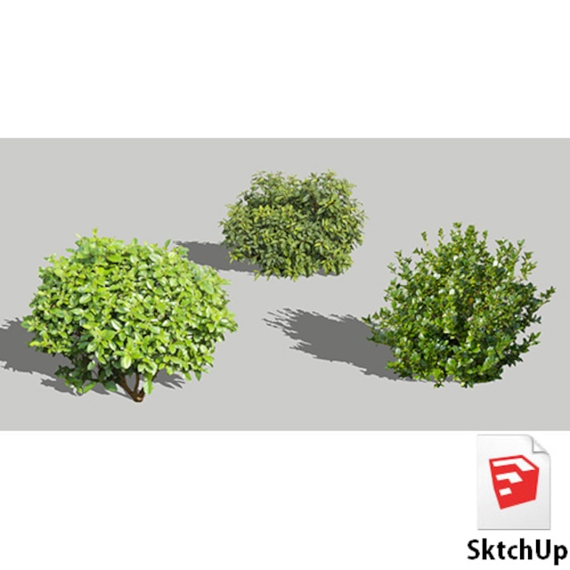 樹木SketchUp 4t_013 - メイン画像