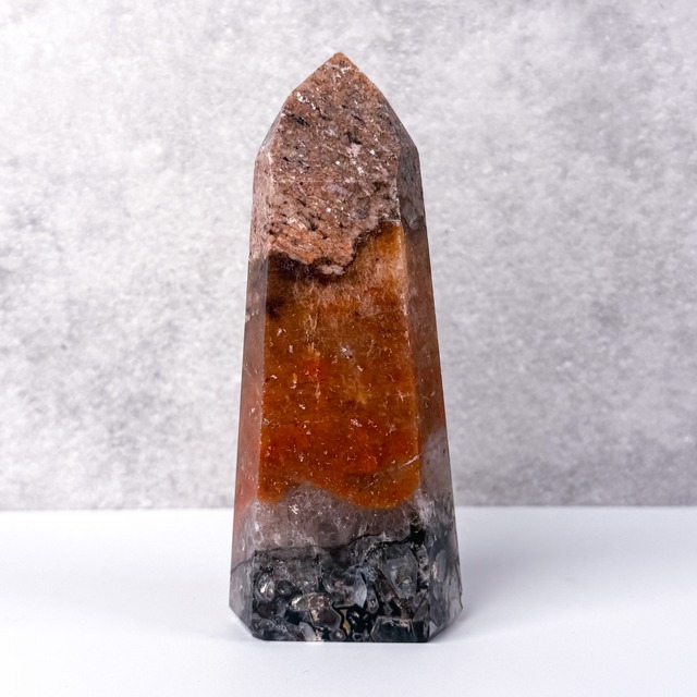 ペトリファイドウッド（珪化木）スラブ ＊ Petrified Wood ＊ 天然石