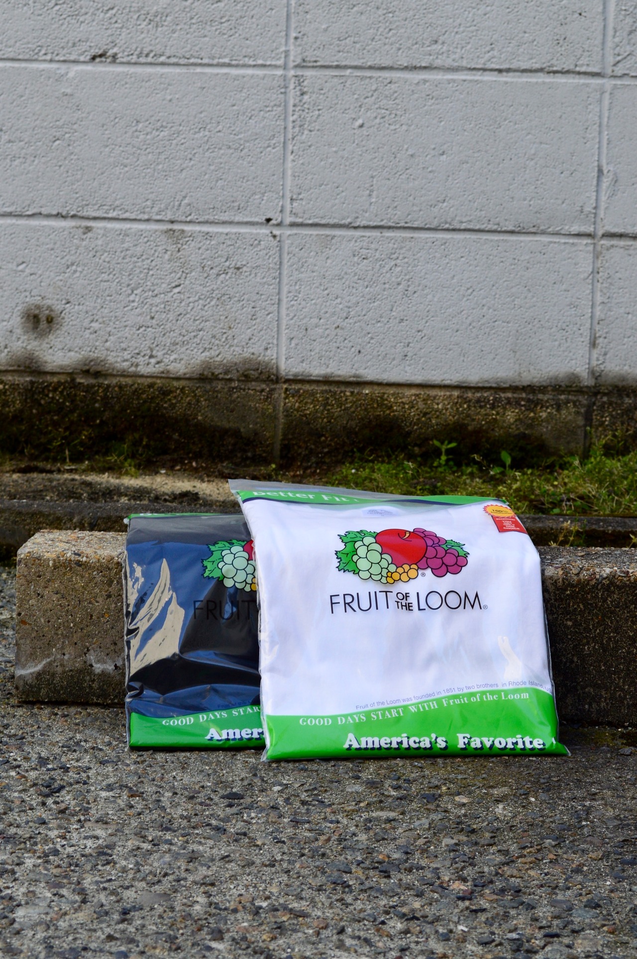 FRUITS OF THE LOOM × Jackson Matisse Basic Under 1Pack Tee フルーツオブザルーム ジャクソンマティス 別注 Tシャツ パックT