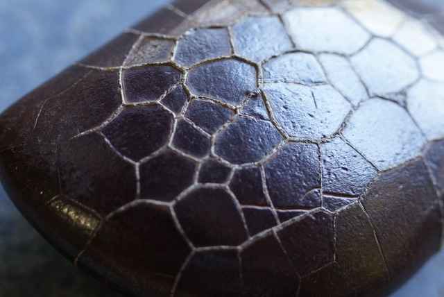 ゴビ亀甲石　Gobi Turtleback Stone