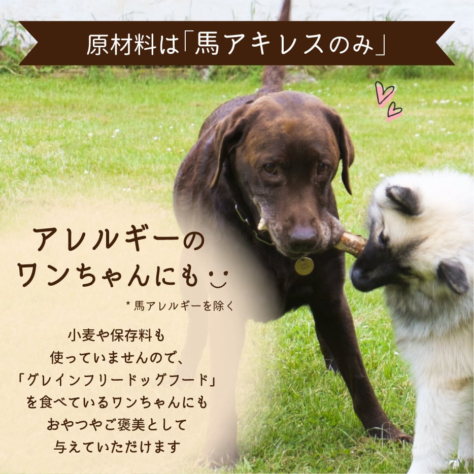 馬アキレス ロング 【厚め】 900g（450g×2） 【国内生産 無添加 無着色