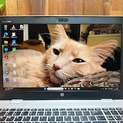 美品/ HP Probook 650 G5/最高峰i7第8世代/SSD256GB/大型液晶/メモリ16GB/ノートパソコン