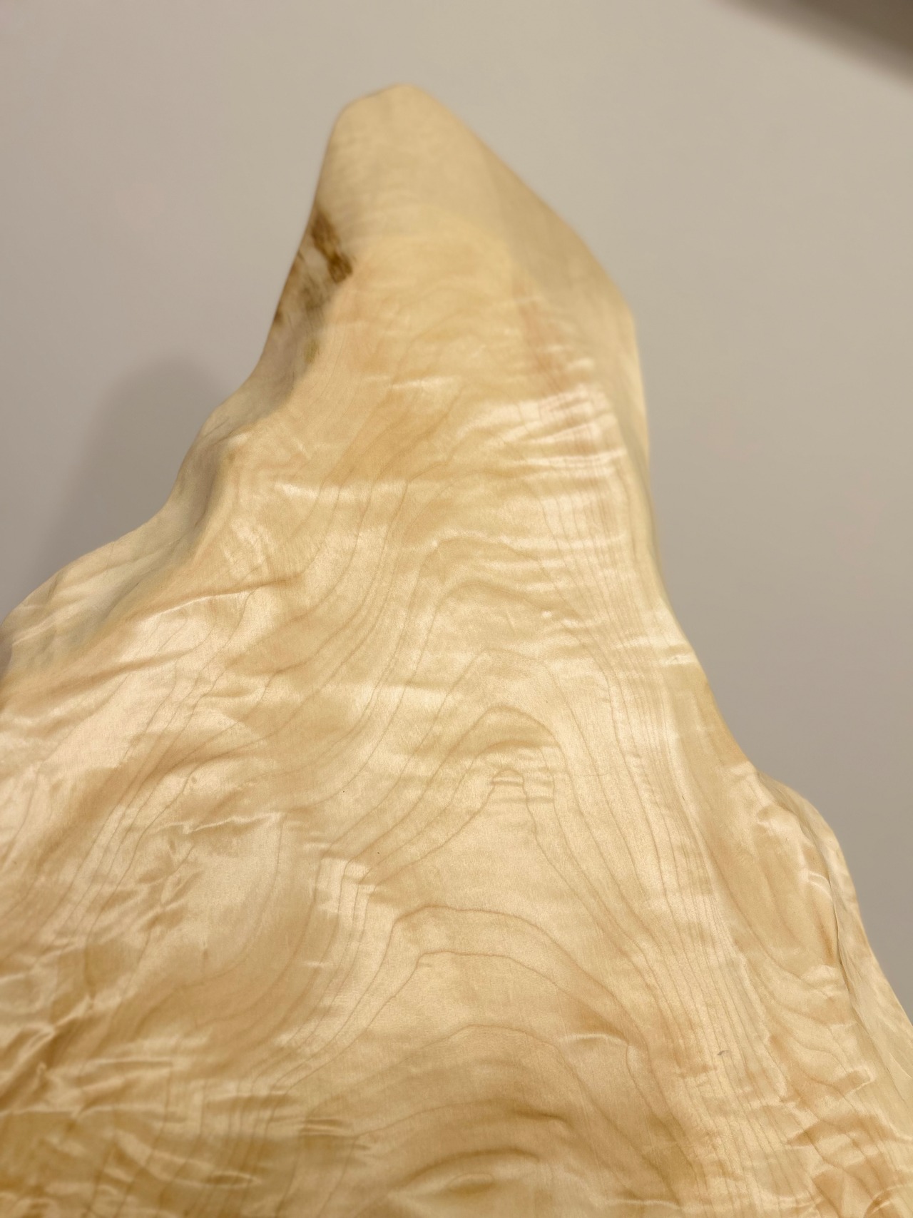 木の結婚証明書|トチ|No.556