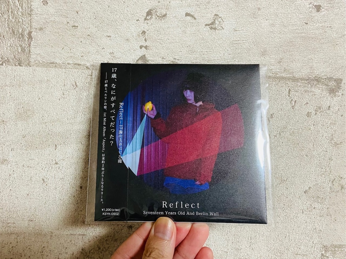 17歳とベルリンの壁 / Reflect | HOLIDAY! RECORDS DISTRO
