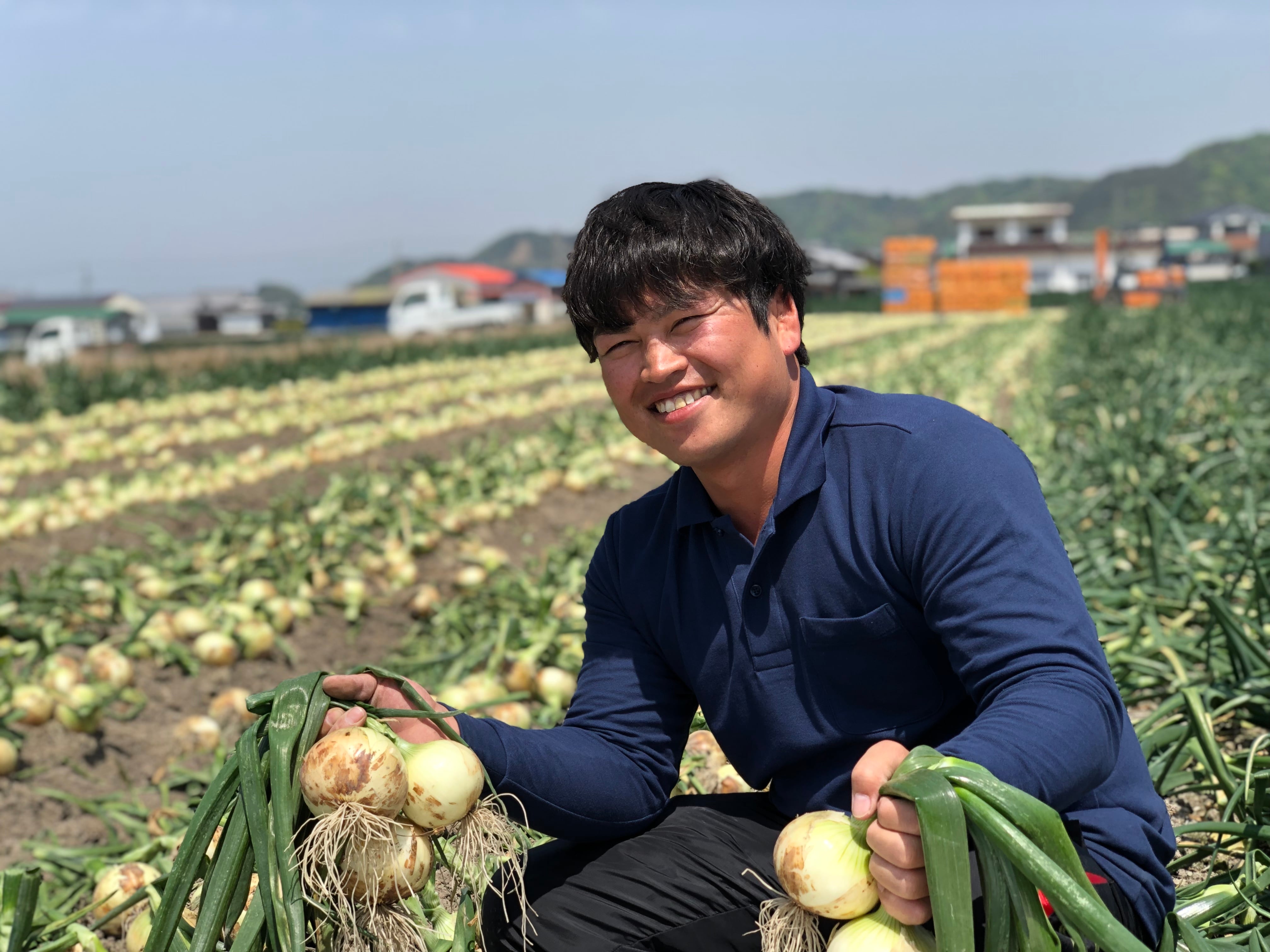 甘一番 20kg 淡路島玉ねぎ 送料・税込み | 原田兄弟の一番玉ねぎ