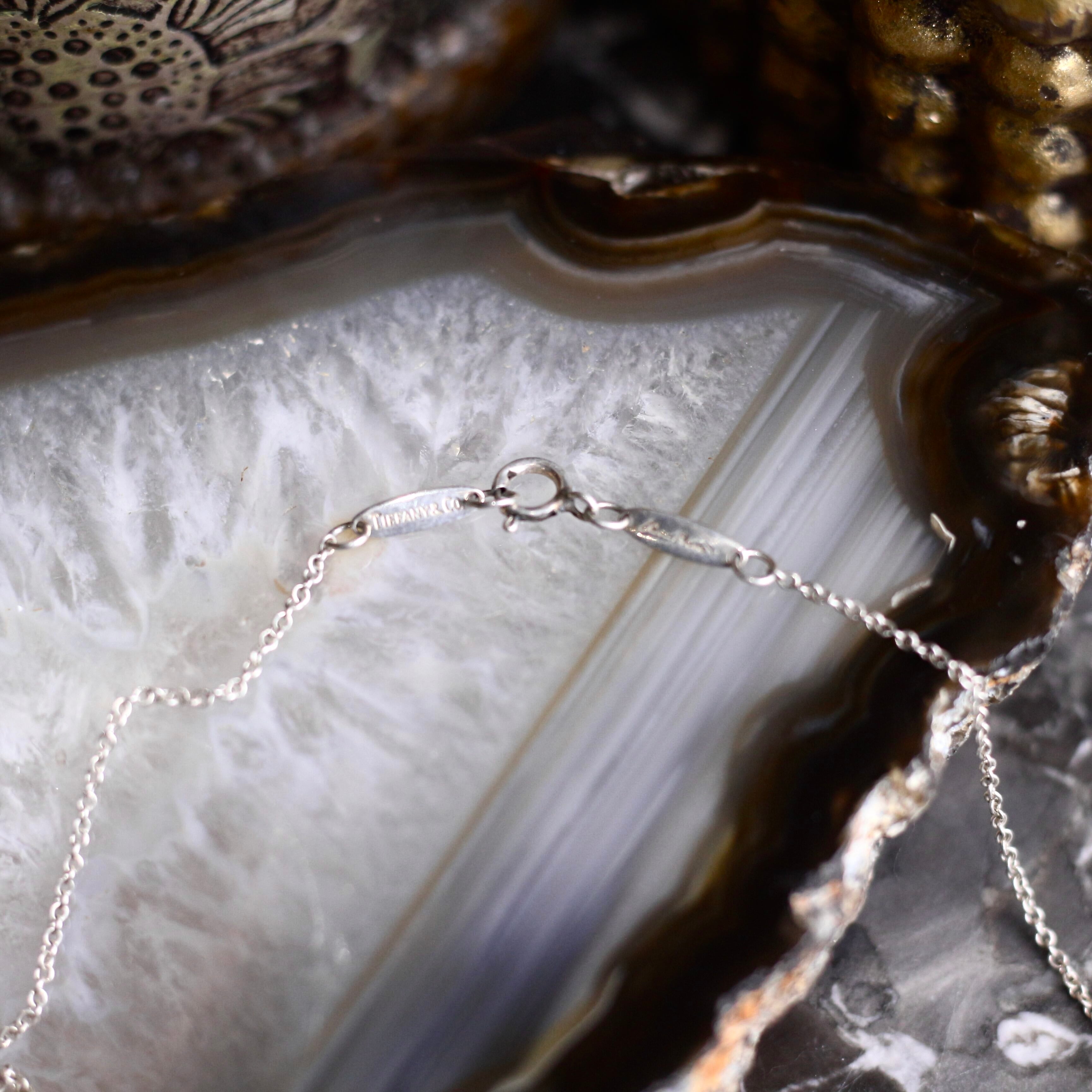 TIFFANY&CO CIRCLE DESIGN SILVER NECKLACE/ティファニーセビアナ
