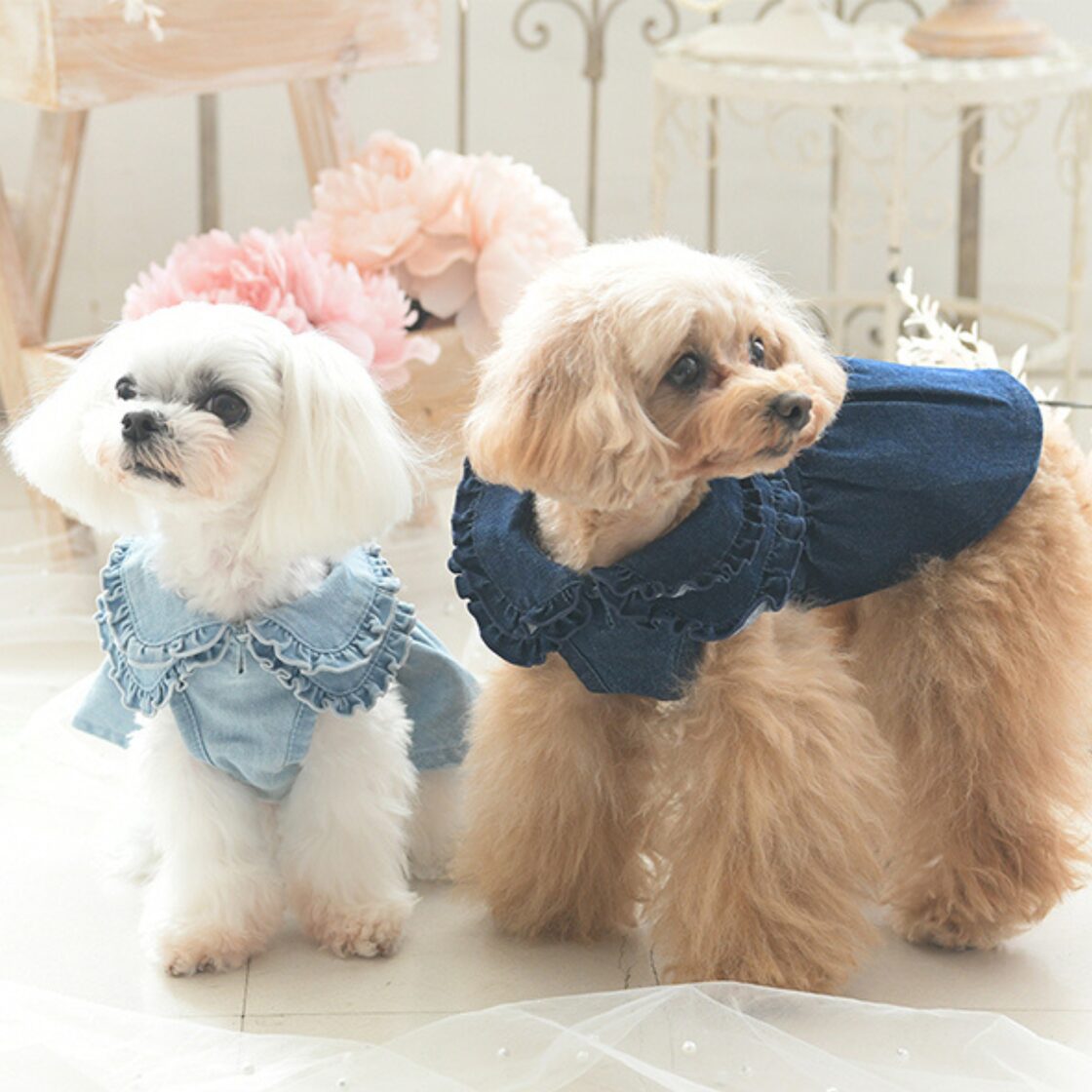 デニムワンピ ROPE PICNIC(ロペピクニック) XS/S/M/L/2L/DM 犬服 小型