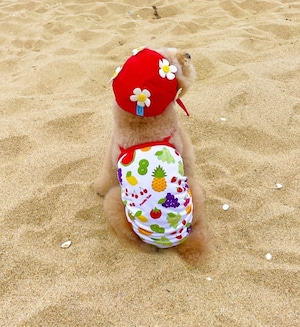 【Freddie Tale】 Blooming swimming cap (red)