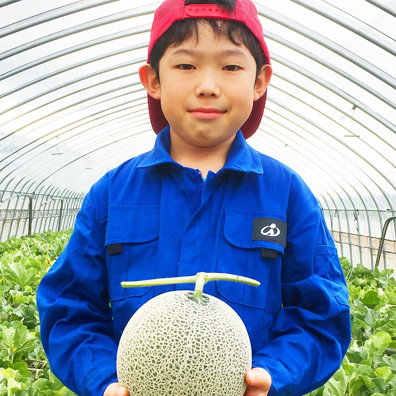 最高級富良野メロン ルピアレッド 秀品大玉(1.6~2.0キロ未満)5玉