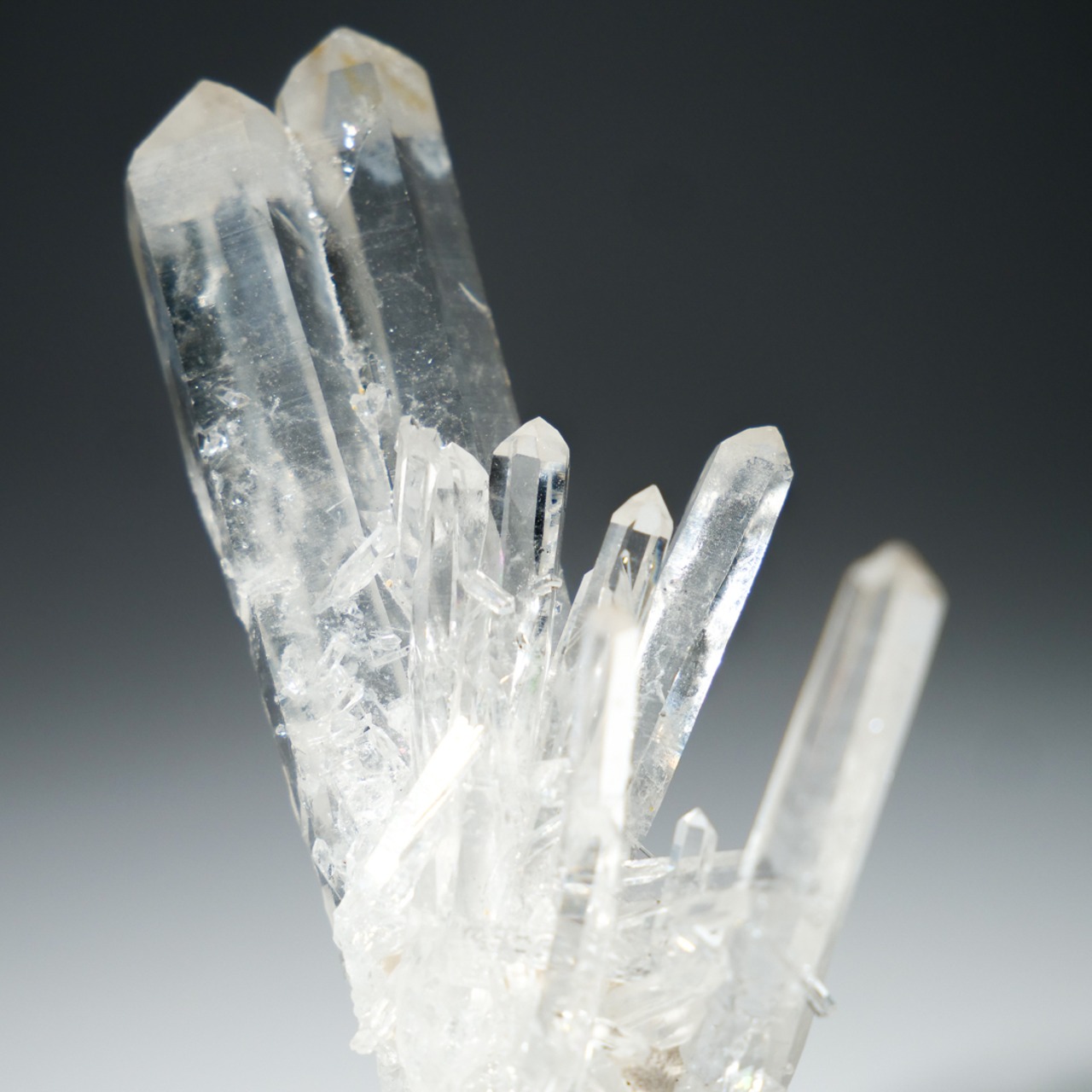 コロンビア産 水晶 クリアクォーツ/ 原石 標本【2】