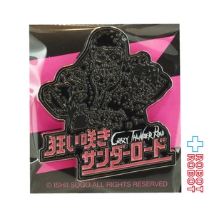 狂い咲きサンダーロード キービジュアル ピンバッジ 未開封