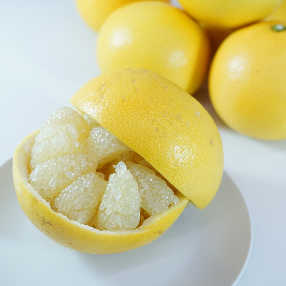 松岡農園 土佐文旦 5kg 家庭用 高知県産 産地直送