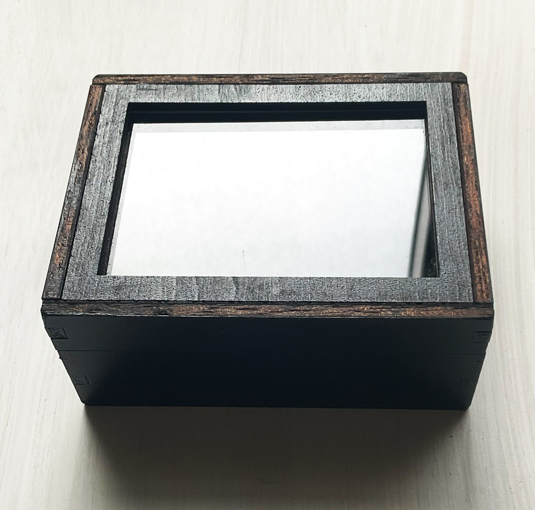 Ooo様専用 標本箱A4サイズ黒枠5点 ooo様専用 標本箱様