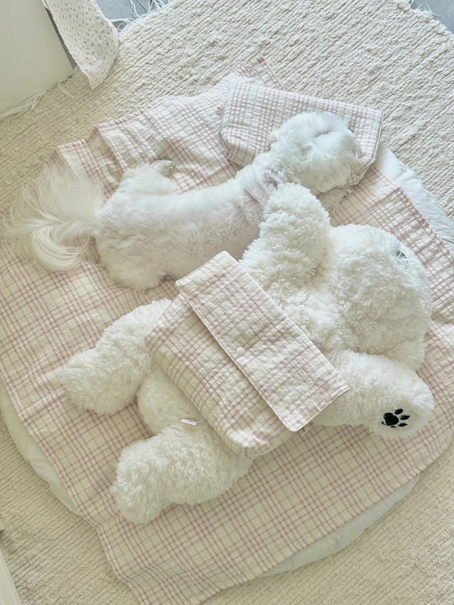 〈予約アイテム〉EYOU / ソフトデイズクールピロー- ピンクチェック