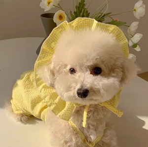 ドッグ 犬 小型犬 ドッグウェア 室内着 ワンピース 帽子 かわいい きれいめ シンプル カジュアル 上品 おしゃれ エレガント モダン 主役級 存在感 ラブリー キュート 都会的 ベーシック シンプル チェック 春 夏 男の子 女の子 成犬 スクール お出かけ パーティー イベント レストラン 公園 休日 バカンス レストラン お花見 カフェ 朝 散歩 ウォーキング 室内 普段使い 清楚 トレンド 流行 インスタ映え XS S M L XL 2XL 紫 黄色 イエロー ピンク パープル