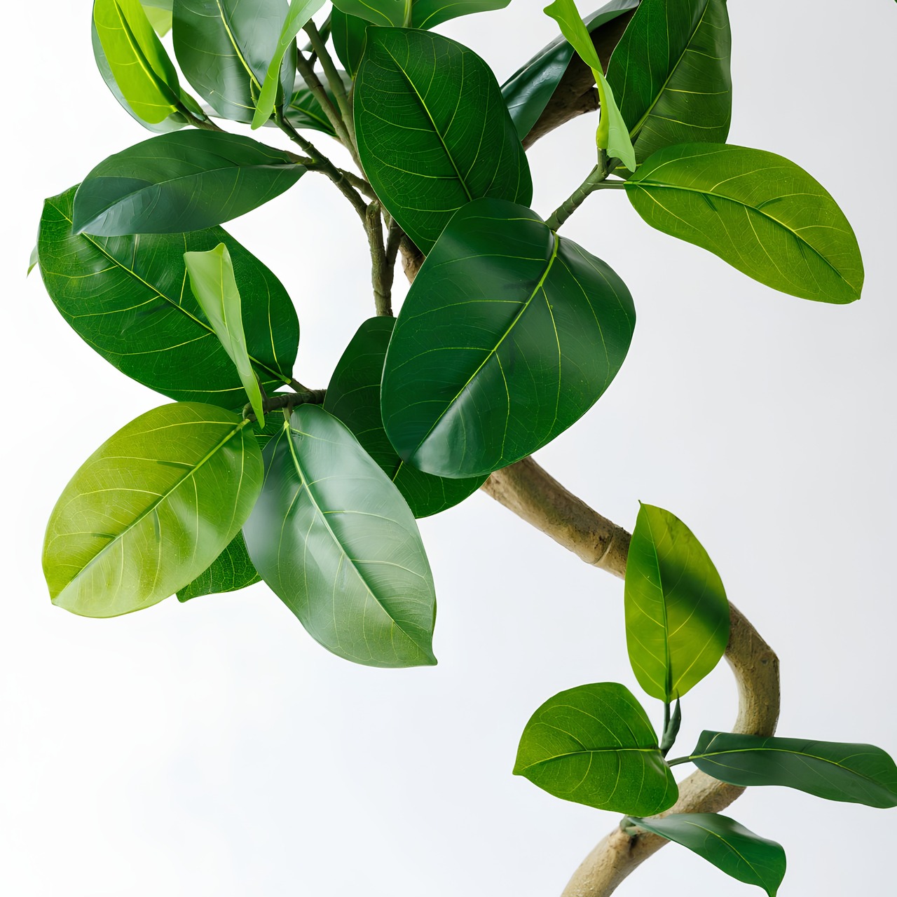 アルテシマ  200㎝［人工観葉植物・フェイクグリーンT］