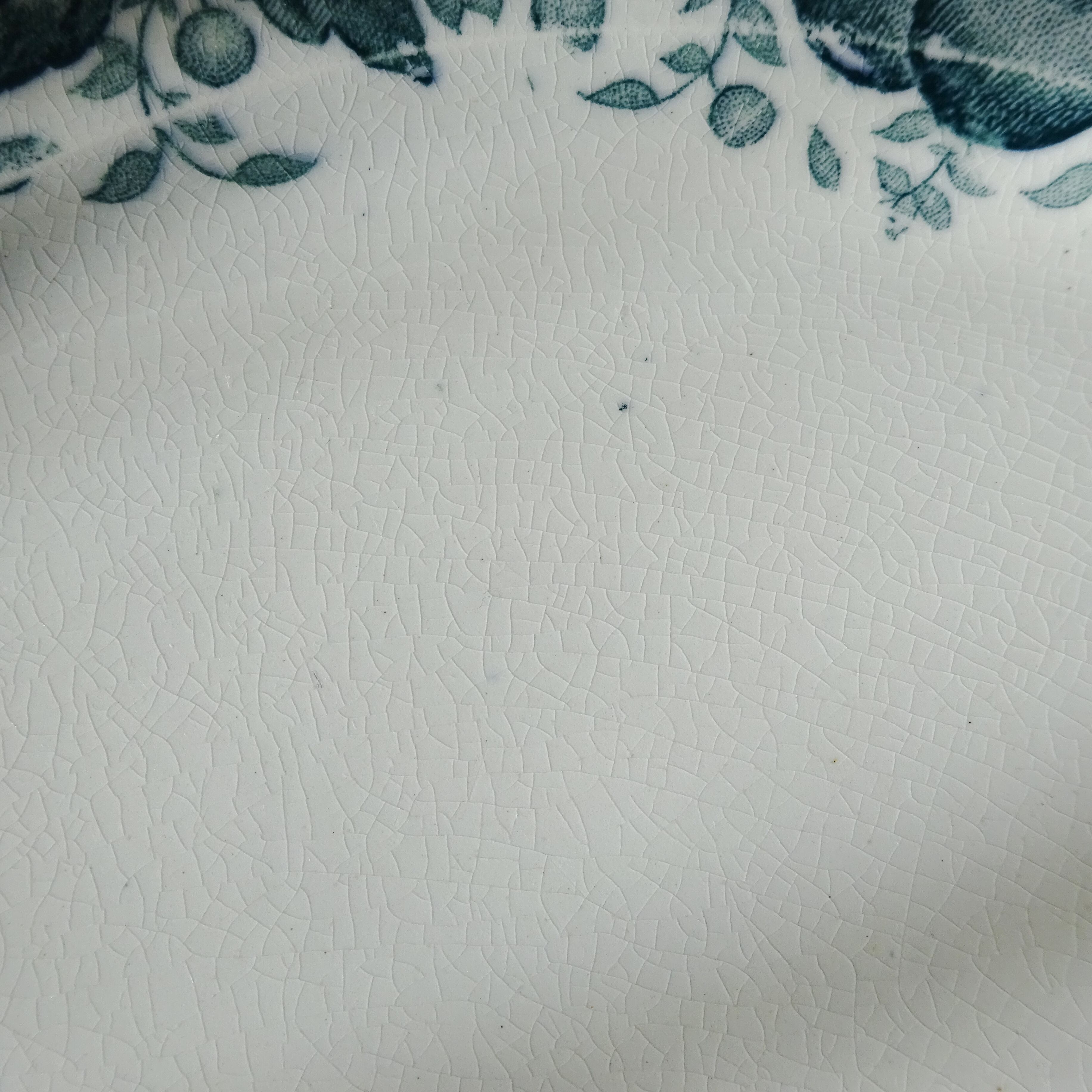 【 Épuisé 】T.F. Badonviller  modèle《CERISES》assiette plate (B)