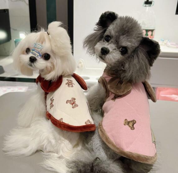 《予約》1102063 あったかキルティングぱたぱたお耳ベスト