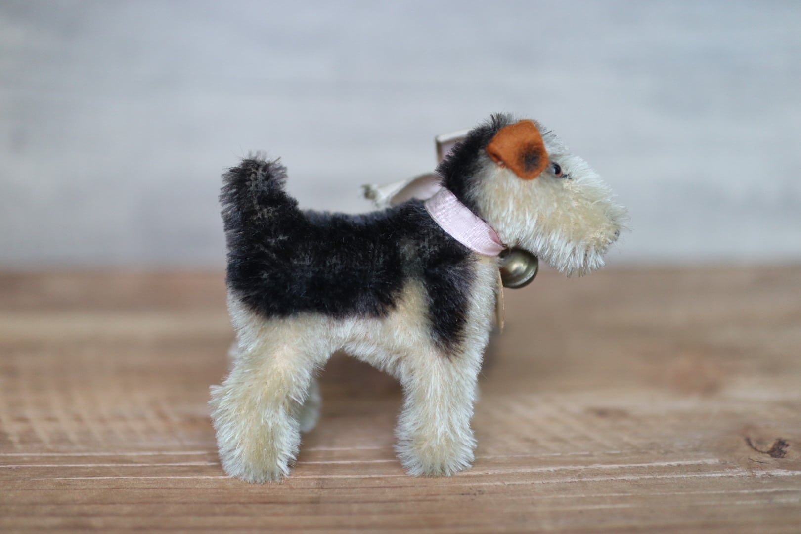 アンティーク シュタイフ 犬 エアデールテリア Terry